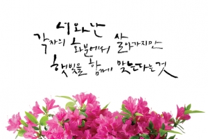 韩国创意粉色花朵集市