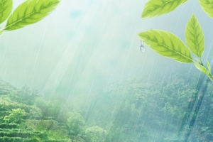 谷雨季节风景美图