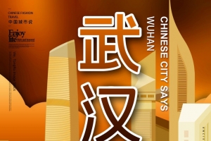 国潮武汉城市