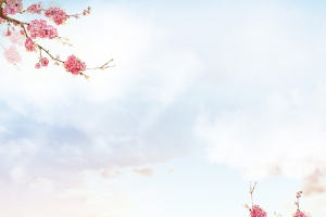 清新云南丽江旅游海报