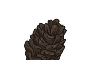 松塔卡通手绘素材免抠