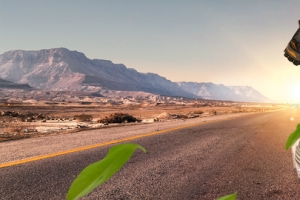 登山鞋防滑户外景色绿叶banner