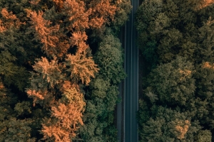 道路 树木 森林 鸟瞰 4k壁纸 3840x2160