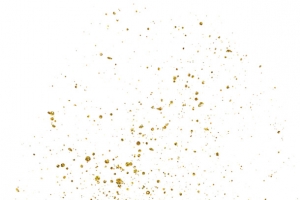 金箔漂浮碎片