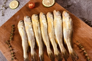 小黄鱼场景拍摄