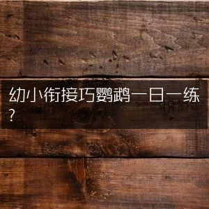 幼小衔接，巧鹦鹉每日一练