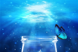 水底世界的梦幻天空