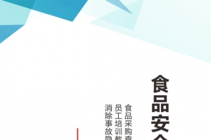 6s安全标准