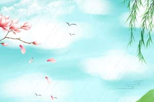 绿色荷塘夏季背景图