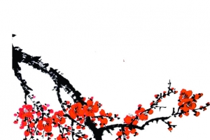 古风国画红色梅花