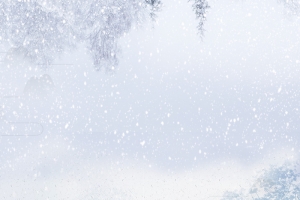 传统节气蓝色手绘女装促销大寒雪景海报