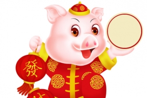 2019年元旦春节发财猪送福