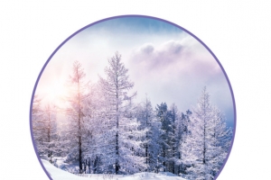 霜降节气艺术创意雪景