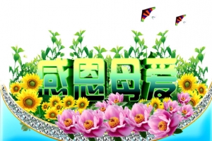 感恩母爱花朵创意场景字体蝴蝶春天