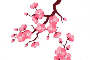 梅花装饰海报边框