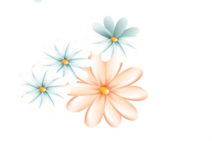 花瓣漂浮