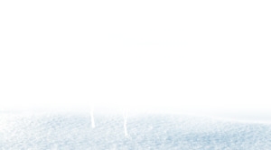 雪地里的树
