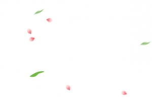桃花和树叶漂浮