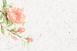 化妆品花卉极简banner