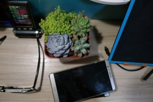 随拍（一组桌面多肉，不知道好养活不？恶心的文艺范？）