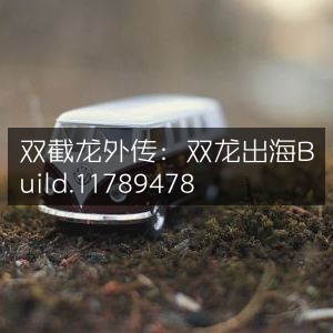 双截龙外传，双龙出海 最新版Build 11789478