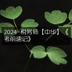 2024年税务师【中华】官方《考前速记指南》
