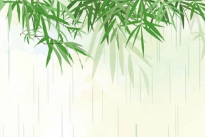 二十四节气雨水banner