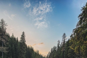 山水景色图片背景