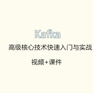 2020年Kafka高阶核心技术，极速入门与实战指南