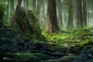 梦幻童话森林背景素材