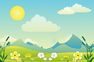 鲜花盛开的夏天
