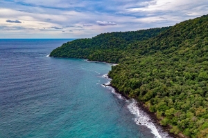 海洋 鸟瞰图 植被 海滩 海岸 4k壁纸 3840x2160