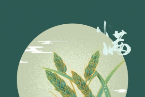 国潮24节气创意插画小满