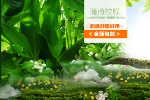 绿色郊外背景