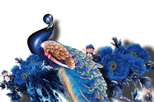 彩绘孔雀