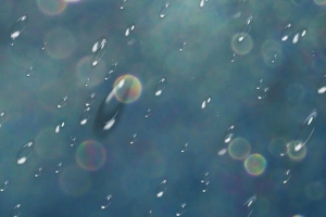 传统二十四节气雨水背景