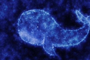 唯美太空鲸鱼星星4k高清壁纸4096x2160