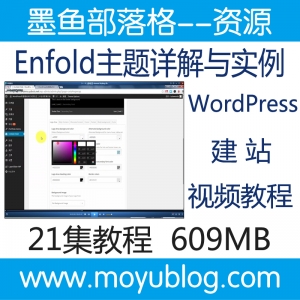 WordPress建站必备，Enfold主题深度解析与实例视频教程