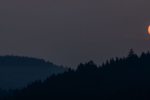 夜 月亮 森林 黑暗 风景 4k壁纸 3840x2160