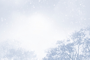 暴风雪