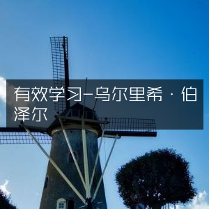 高效学习策略，乌尔里希·伯泽尔著，提升个人能力必备书籍