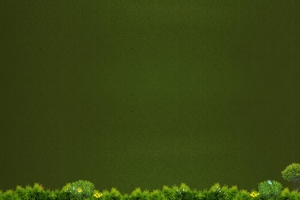 纯色背景绿色植物高清背景素材