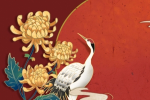 菊花太阳扇子背景