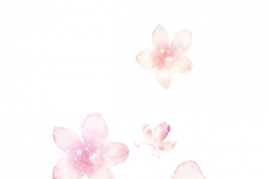 教师节粉红色花朵老师