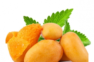 美味小台芒高清PNG透明动植物植物设计素材免费下载