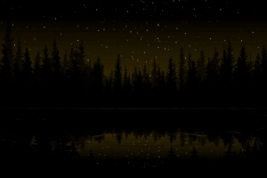 森林 黑暗 艺术 星星 4k壁纸 3840x2160