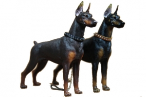 两只杜宾犬