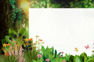 绿色森林花草多肉绿植淘宝多肉banner
