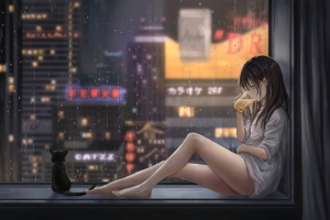女孩喝啤酒 飘窗 城市夜景 雨天 猫 好看唯美4k动漫壁纸