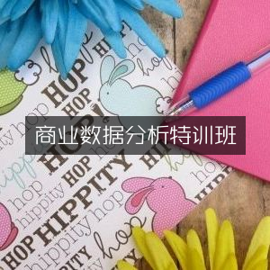 商业数据分析精英特训课程